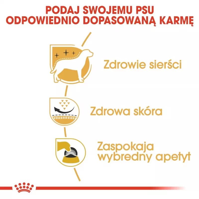 Royal Canin BHN West Highland Biały Terrier Adult - sucha karma dla dorosłych psów - 3 kg