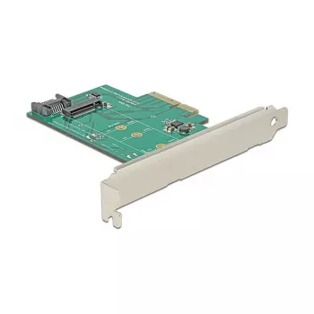 Karta interfejsu DeLOCK 89381 wewnętrzna M.2 SATA