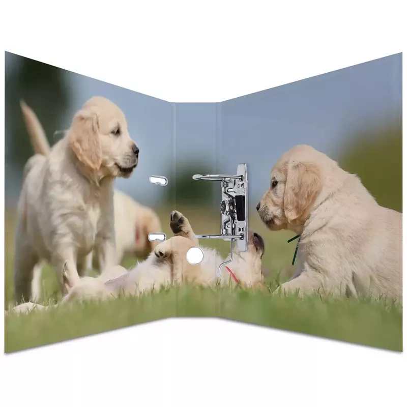 Ring binder HERMA 7165 A4 D-ring Storage