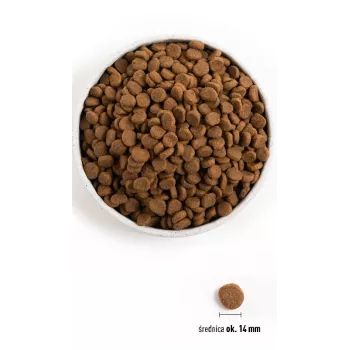 ORIJEN Oryginalny Dog - sucha karma dla psa - 11,4 kg