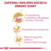 ROYAL CANIN Maine Coon Kitten - sucha karma dla kotów - 4 kg