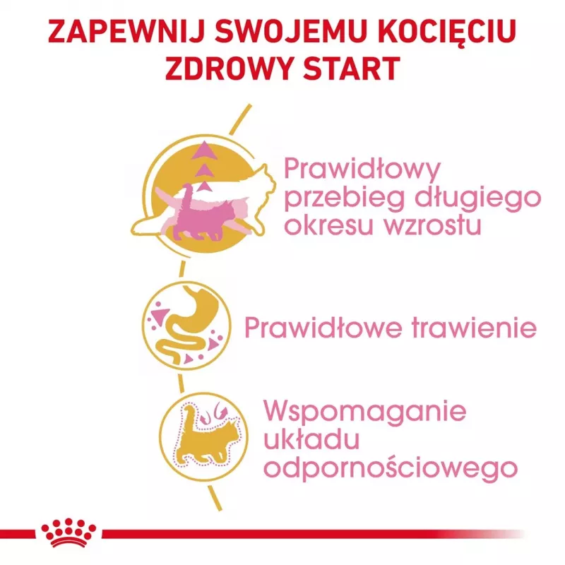 ROYAL CANIN Maine Coon Kitten - sucha karma dla kotów - 4 kg