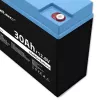 Akumulator LiFePO4 QOLTEC 12.8V 30Ah 384Wh z BMS