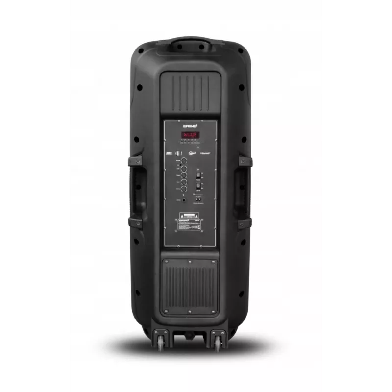 Głośnik przenośny APA24 Bluetooth Karaoke, czarny