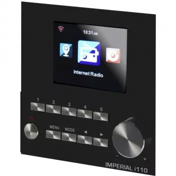 DABMAN i110 WLAN-Internet-Radio + Media-Player-Funktion. Wood