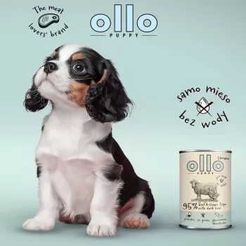 OLLO Puppy Umami Beef and Green Tripe with Duck Liver - mokra karma dla psów - 850g