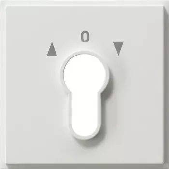 Urządzenie sieciowe Gira 066466