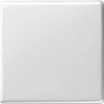 Gira 029603 Urządzenie sieciowe białe