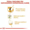 Royal Canin BHN Labrador Adult sucha karma dla psów, 12 kg