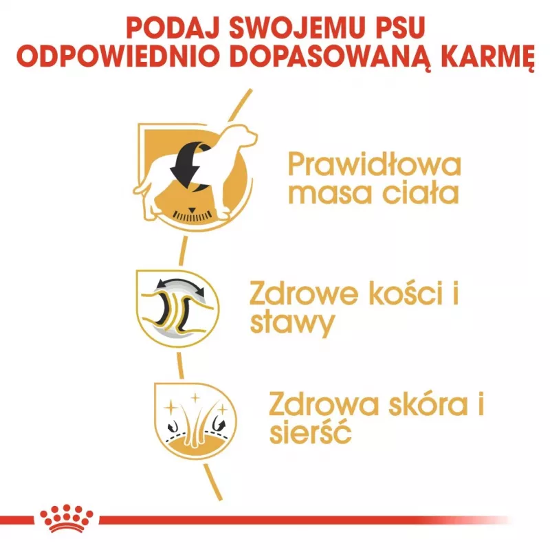 Royal Canin BHN Labrador Adult sucha karma dla psów, 12 kg