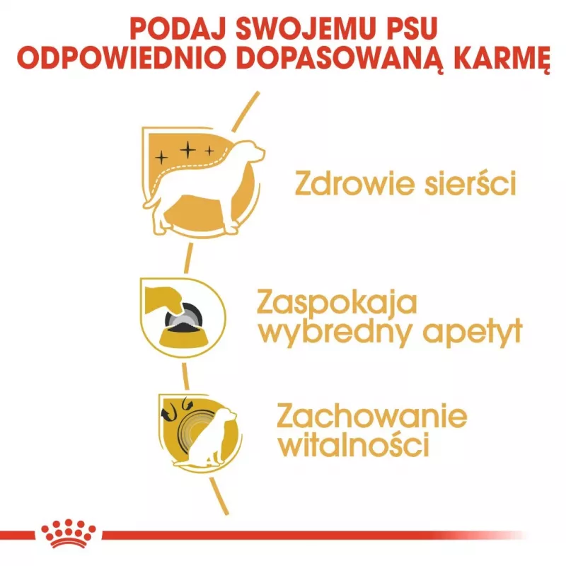 ROYAL CANIN BHN Yorkshire Terrier Adult sucha karma dla psów - 7.5 kg