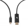 Kabel USB-C do DisplayPort TB AKTBXVDUSBCDP2B 2 m — czarny