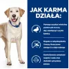 HILL'S PD D/D Food Sensitivities, kaczka i ryż - sucha karma dla psów - 4kg