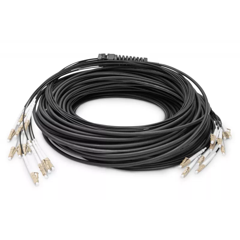 Kabel rozgałęźny Digitus DK-2433CU030BK-BBB 30m OM4 12 włókien LC/UPC