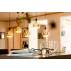 Żarówka LED Segula 55058 Ciepła biel 1900 K 6 W E27