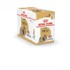 ROYAL CANIN Shih Tzu karma mokra dla psów dorosłych Pasztet 12x85 g