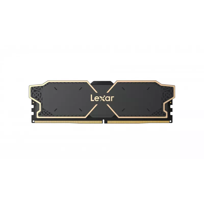 Lexar LD5U08G60C38LG-RGD Memory Module