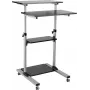 ROLINE PC Standing Workstation - Stojak na monitor LCD / klawiaturę / mysz / CPU / drukarkę - Plastik, Metal - Szary, Czarny (17.02.1547)