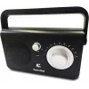 Radio przenośne TECHNISAT CLASSIC 100 — analogowe FM, 1 W RMS, 3,5 mm, biały