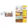Etykieta do drukarki Transparentna Avery L7551-25