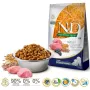 FARMINA N&D Ancestral Grain Puppy Medium&Maxi Lamb - sucha karma dla psów - 12 kg