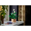 LEGO BOTANICALS 11504 Lilia Pokojowa