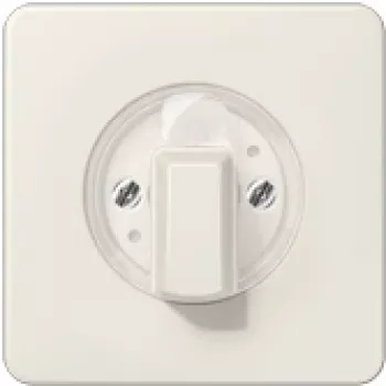JUNG CD 1541 - Ivory - 1101-4 - 1101-20 - 11015 - 11120-20 - 1234,10 - 1234,20 - IP44