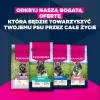 Sucha karma dla psa EUKANUBA Mature Small Chicken 3 kg — dla dorosłych psów małych ras