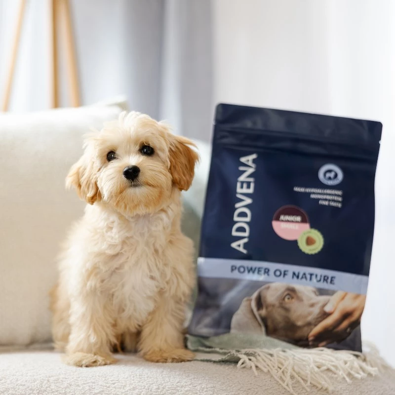 ADDVENA Power of Nature Junior Small Lamb - sucha karma dla psa - 2,5 kg