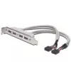 Kabel wspornika gniazda USB 2.0 HighSpeed typ 2xIDC (5pin)/4xUSB A M/Ż szary 0,25m