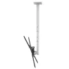 Barkan 3500 uchwyt sufitowy do telewizora, regulowany, 13-65", 40 kg, biały