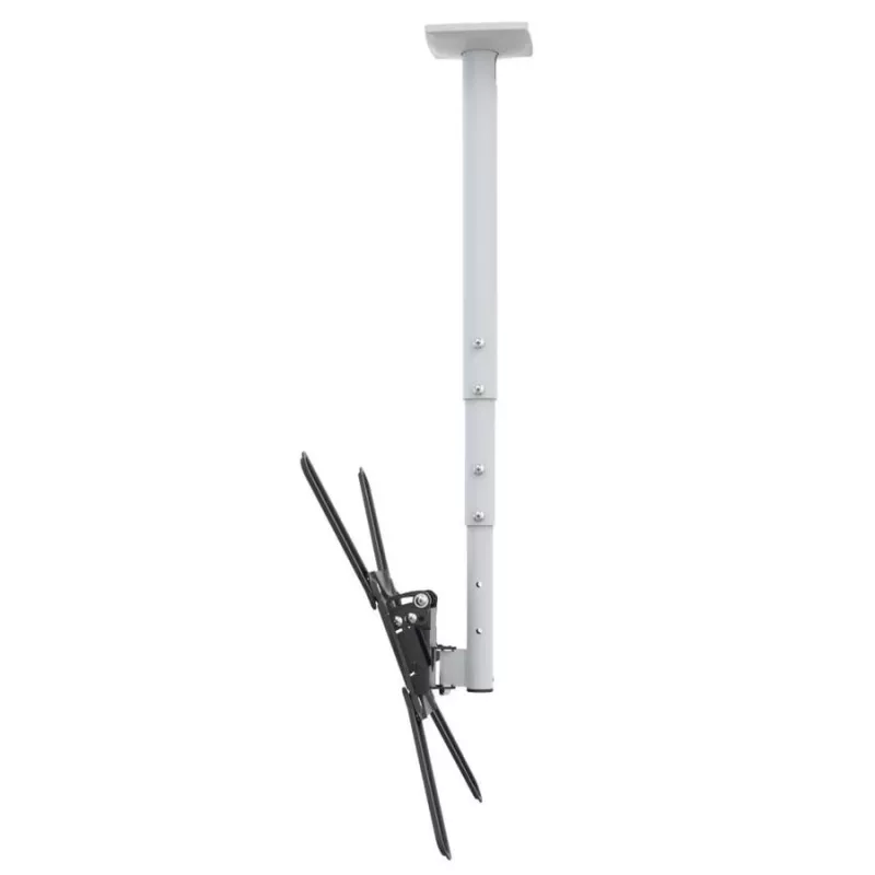 Barkan 3500 uchwyt sufitowy do telewizora, regulowany, 13-65", 40 kg, biały