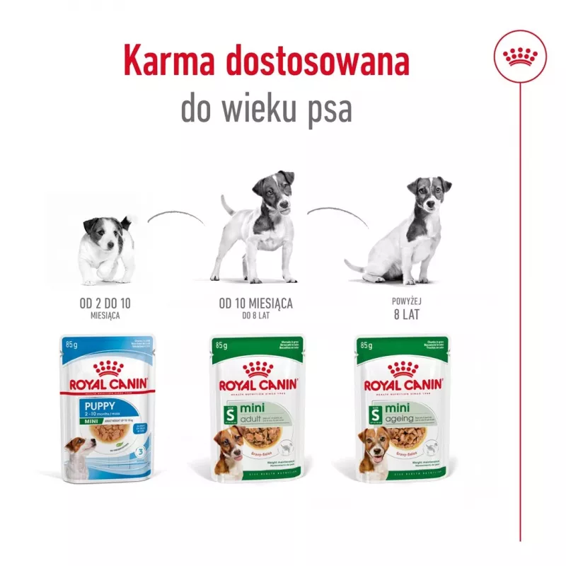 Mokra karma dla psów Royal Canin Mini Ageing 12+ Adult saszetka 85 g — małe rasy, drób, senior