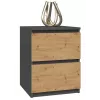 Topeshop W2 ANTRACYT/ARTISAN nightstand/Stolik nocny 2 szuflada(s) antracyt, dąb