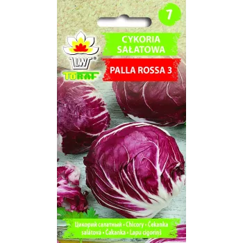 Nasiona warzyw sałaty cykorii Palla Rossa 3 Toraf, opakowanie 5 g