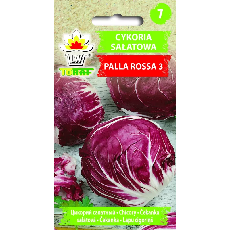 Nasiona warzyw sałaty cykorii Palla Rossa 3 Toraf, opakowanie 5 g