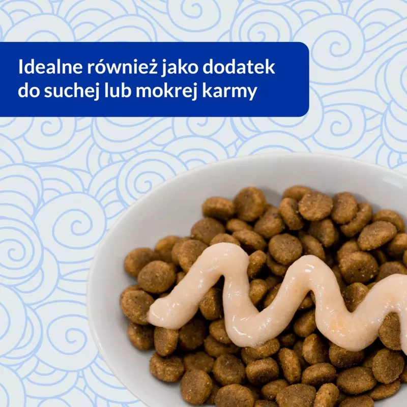 INABA Churu Skin&Coat Chicken recipe - przysmak dla kota - 4x14 g