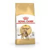 Sucha karma dla kota Royal Canin Bengal Adult 10 kg — Kurczak, 40% białka, 18% tłuszczu