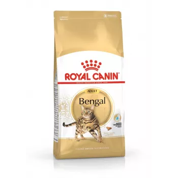 Sucha karma dla kota Royal Canin Bengal Adult 10 kg — Kurczak, 40% białka, 18% tłuszczu