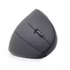 Gembird MUSW-ERGO-01 mysz Praworęczna RF Bezprzewodowa Optyczna 1600 DPI
