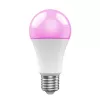 Inteligentna żarówka WOOX R9077
