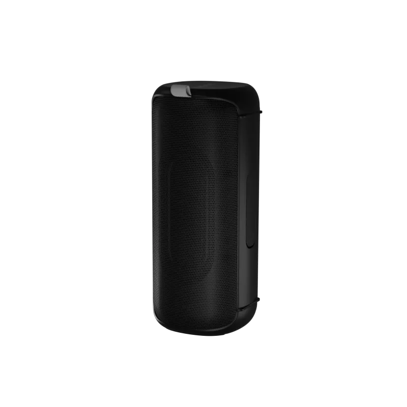 Przenośny głośnik stereo Audictus Aurora Pro 20 W