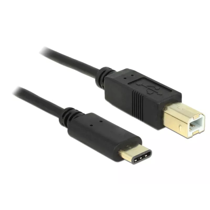 Kabel USB DeLOCK 2m USB2.0-C/USB2.0-B