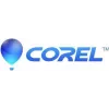 Corel PaintShop Pro 2023 - Box-Pack - 1 użytkownik (Mini-Box) - Win - Wielojęzyczna - Europa