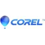Corel PaintShop Pro 2023 - Box-Pack - 1 użytkownik (Mini-Box) - Win - Wielojęzyczna - Europa
