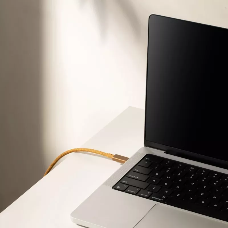 Kabel USB-C na USB-C Native Union Belt kabel Pro 240W, 2,4 m, USB 2.0, 0,48 Gbit/s, zielony