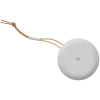 Bang & Olufsen Beosound A1 2nd Gen - 1,52 cm (0.6 inch) - 8,89 cm (3.5 inch) - 55 - 20000 Hz - Bezprzewodowy - USB Type-C - Szary (1734001)
