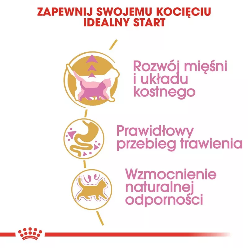Sucha karma dla kota Royal Canin British Shorthair Kitten 2 kg – kurczak, 38% białka, 20% tłuszczu, formuła wzrostu