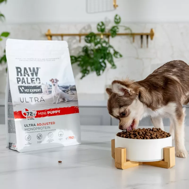 Sucha karma dla psa VETEXPERT RAW PALEO Ultra Mini Puppy Beef 2 kg — suchy granulat dla szczeniąt małych ras, 30,5% białka, 16,5% tłuszczu