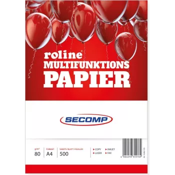 Papier do druku ROLINE 16061125 A4 500 arkuszy Biały